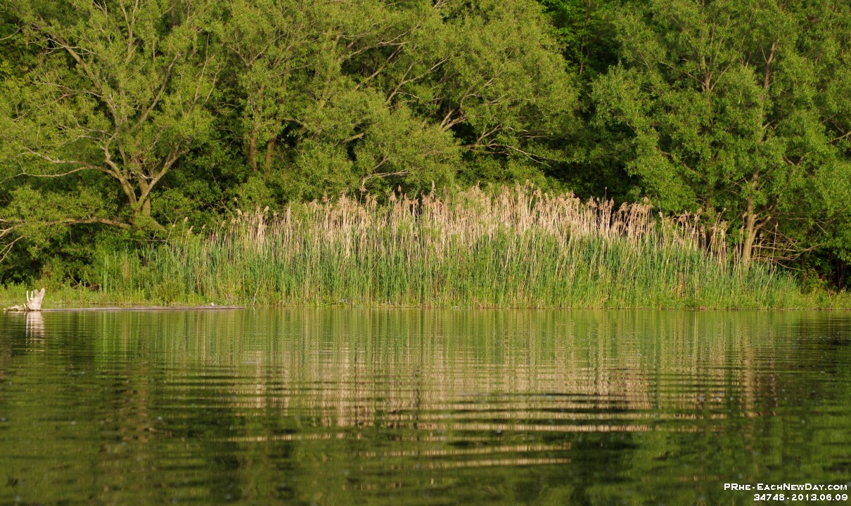 34748RoCrLe - Kayaking with Julia on Duffins Creek on a great Father's Day weekend